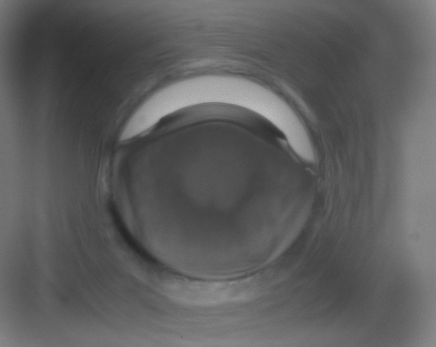 X0000081350023200702082306