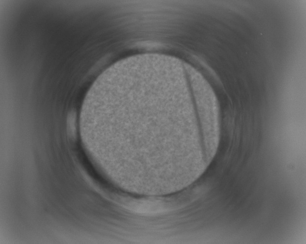 X0000081350024200702082306