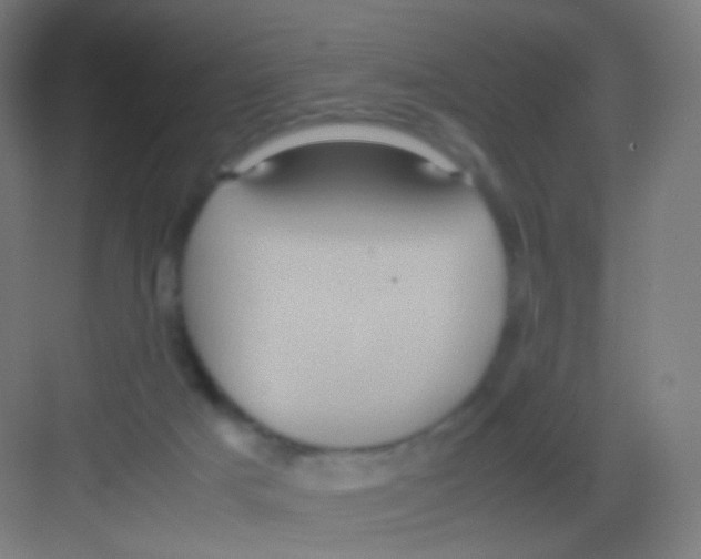 X0000081350025200702082306