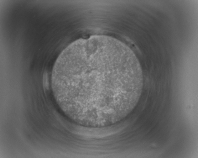 X0000081350026200702082306