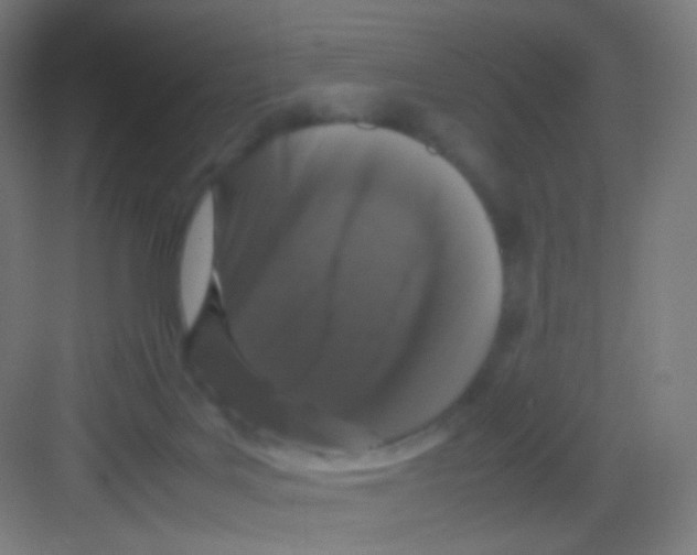 X0000081350027200702082306