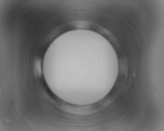 X0000081350028200702082306