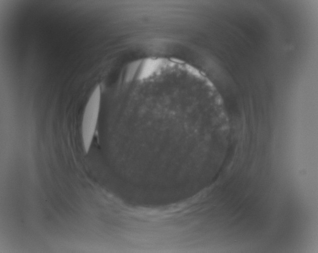 X0000081350029200702082306