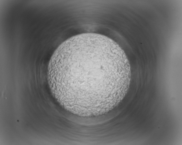 X0000081350030200702082306