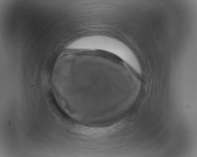 X0000081350031200702082306