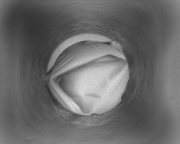 X0000081350033200702082306