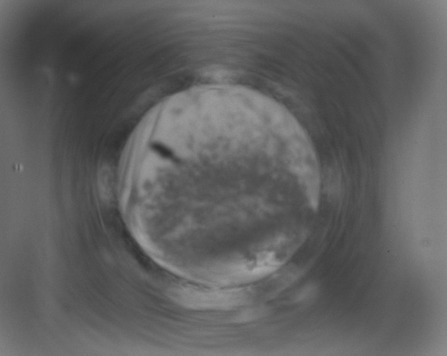 X0000081350036200702082306