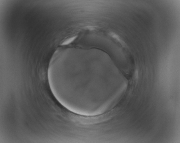 X0000081350039200702082306