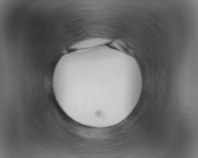 X0000081350040200702082306