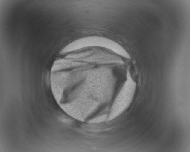 X0000081350041200702082306