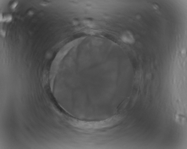 X0000081350043200702082306