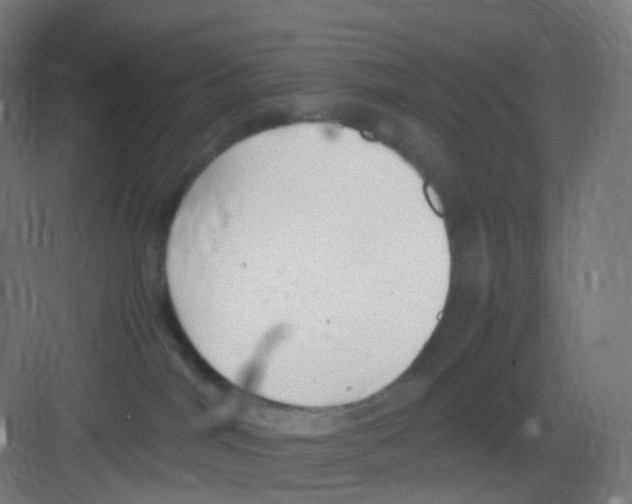 X0000081350044200702082306