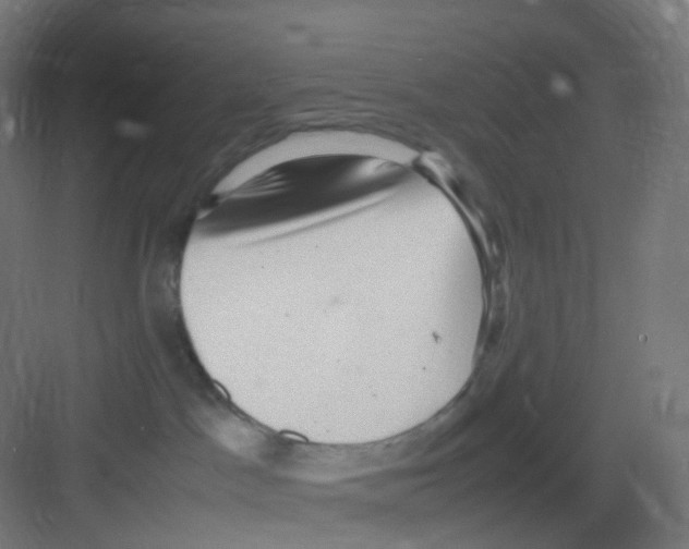 X0000081350045200702082306