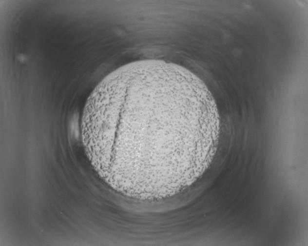 X0000081350046200702082306