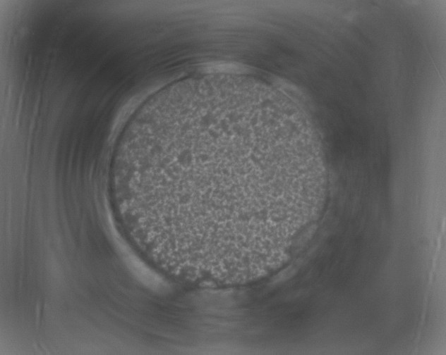 X0000081350049200702082305