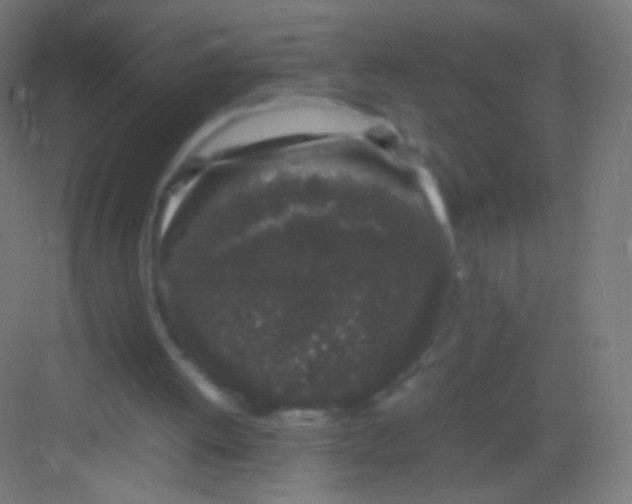 X0000081350052200702082305