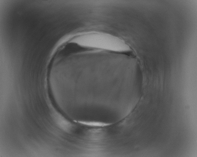 X0000081350054200702082305