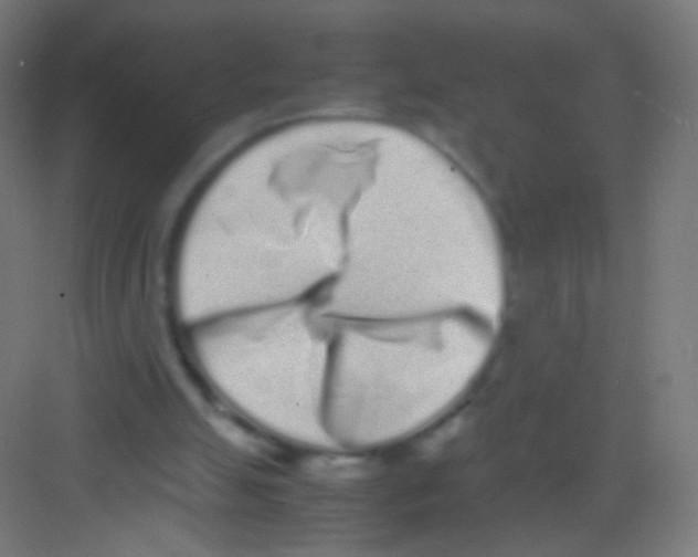 X0000081350055200702082305