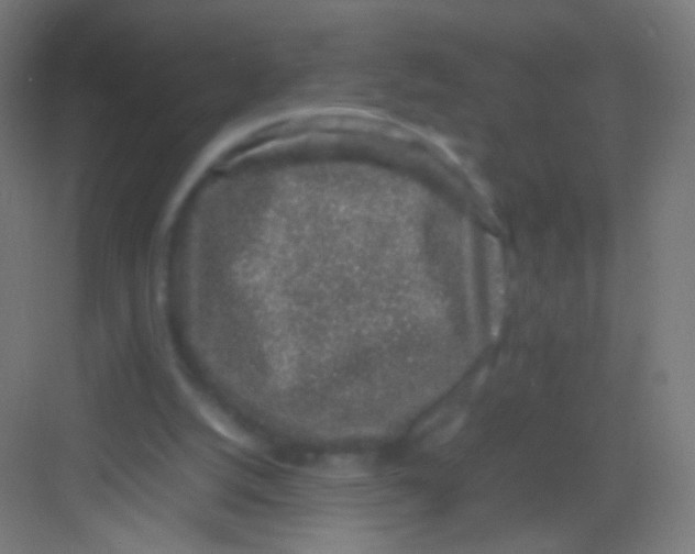 X0000081350056200702082305