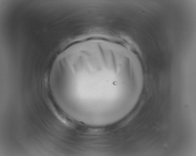 X0000081350057200702082305