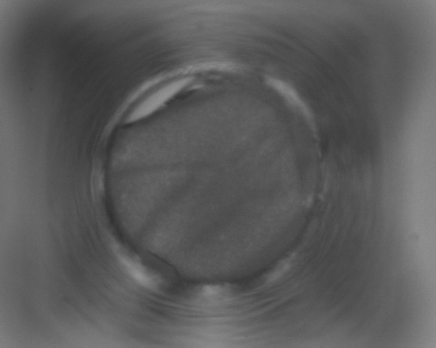 X0000081350060200702082305