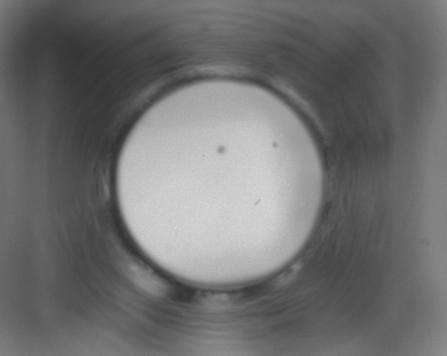 X0000081350062200702082305