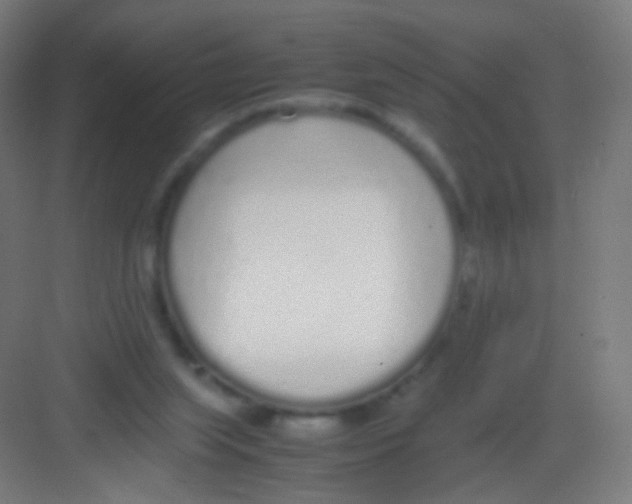 X0000081350063200702082305