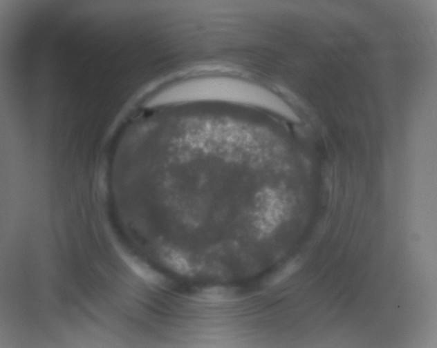 X0000081350064200702082305