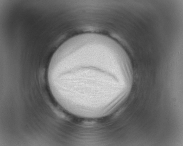 X0000081350066200702082305