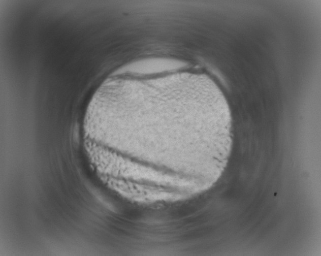 X0000081350067200702082305