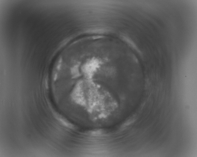 X0000081350068200702082305