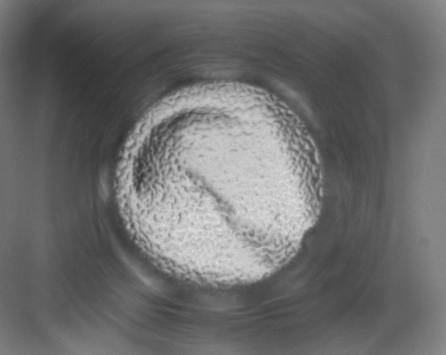 X0000081350069200702082305