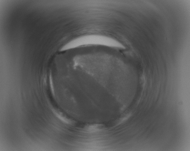 X0000081350072200702082305