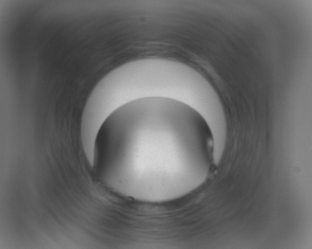 X0000081350073200702082305