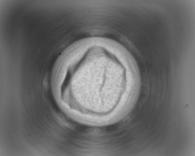 X0000081350074200702082305