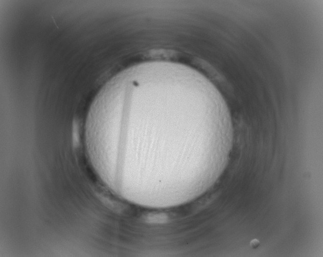 X0000081350075200702082305