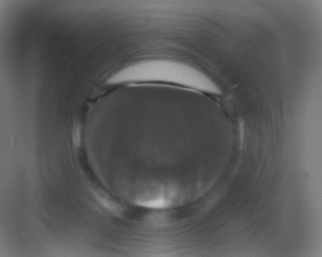 X0000081350076200702082305