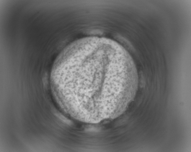 X0000081350077200702082305