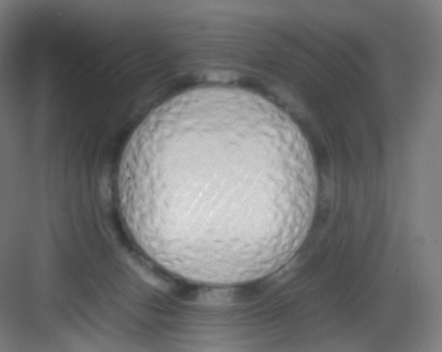 X0000081350078200702082305