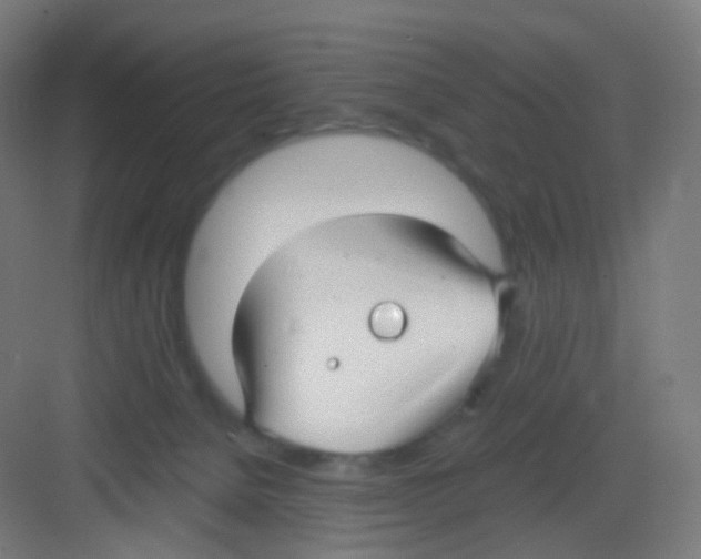 X0000081350080200702082305