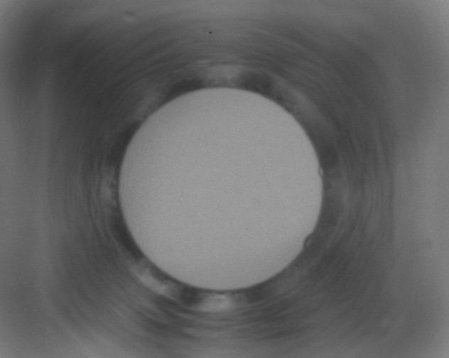 X0000081350083200702082305