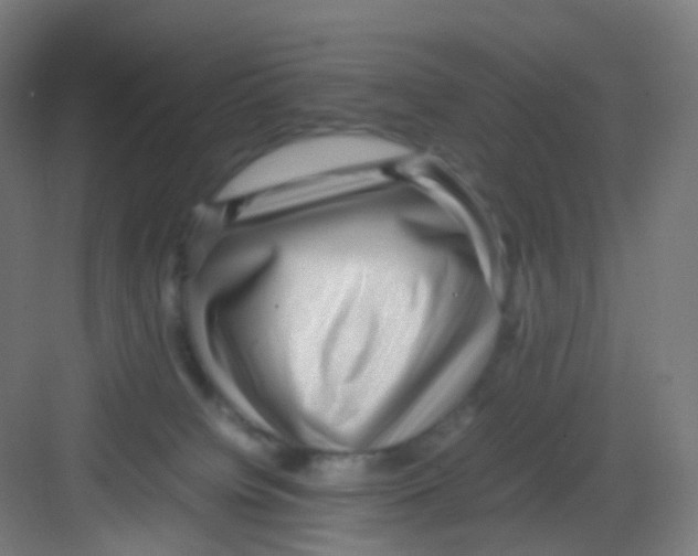 X0000081350084200702082305