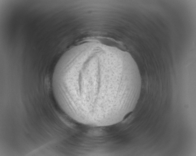 X0000081350086200702082305