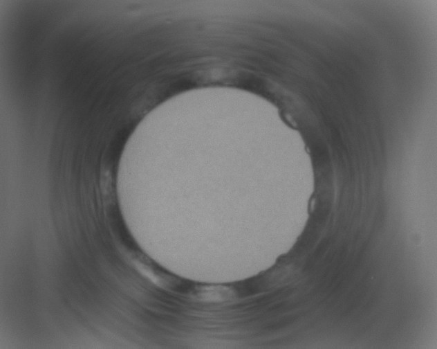 X0000081350087200702082305