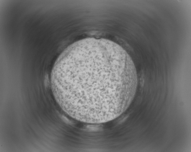 X0000081350089200702082306