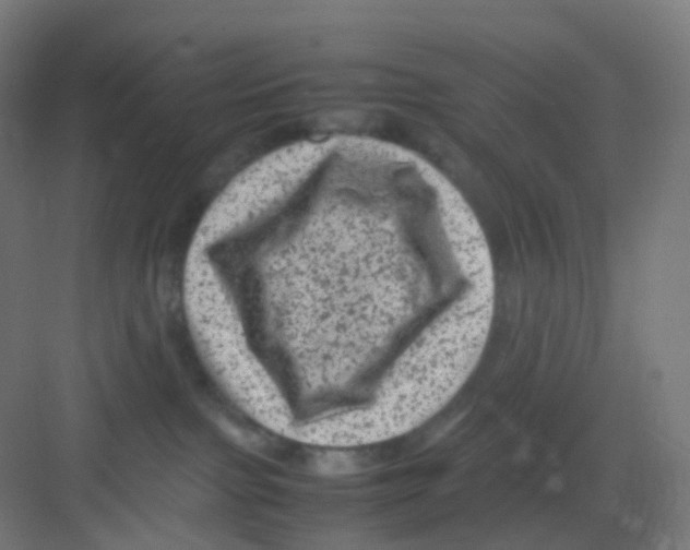 X0000081350091200702082306