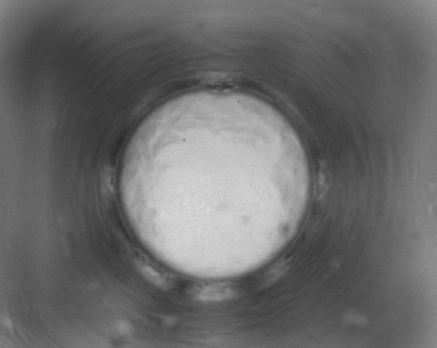 X0000081350093200702082306