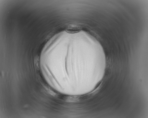 X0000081350094200702082306