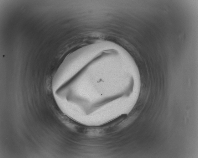 X0000081350096200702082306