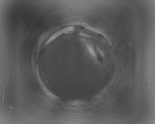 X0000081350097200702082305